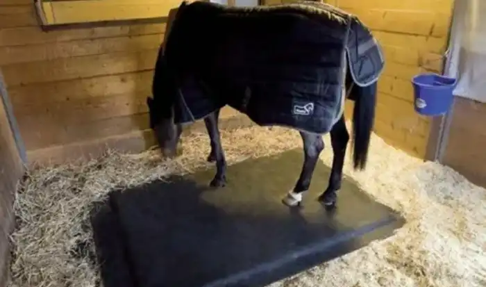 Horse stall mats dubai