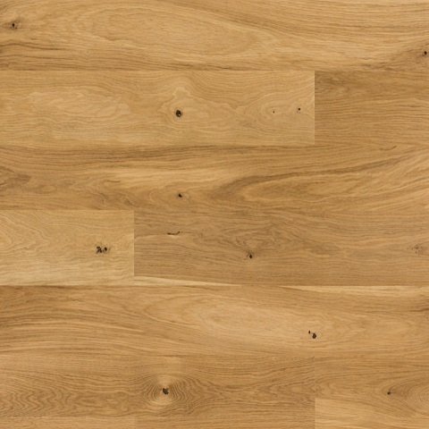 FF-Oak Askania