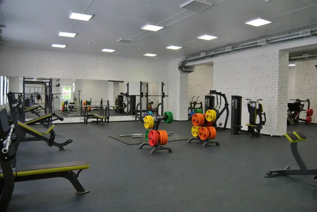 Spacious gym with weight machines and colored weight plates on rubber flooring