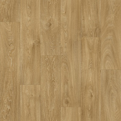(Havanna-Oak-662M) RF