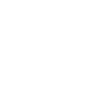 shield icon